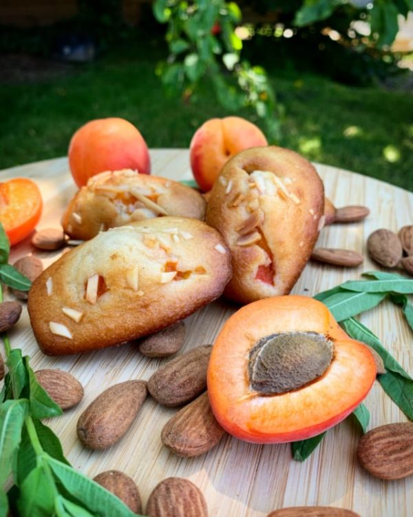 Bosse fruits de saison