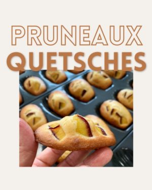 Bosse Pruneaux Quetsches