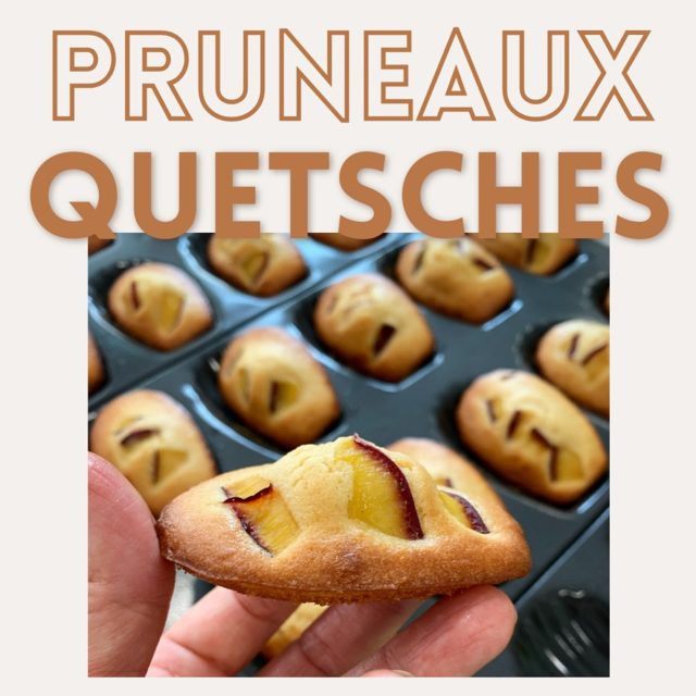 Entre goût et tradition, la bosse aux pruneaux ou quetsches de saison s'invite au goûter ou en dessert.

À commander avant ce soir pour la recevoir sortie du four cette semaine...

#semainedugoût #jeunefederal #pruneaux #quetsches #madeleines #local